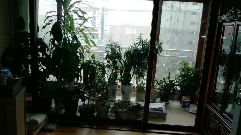 Happy Day Family * Seoul