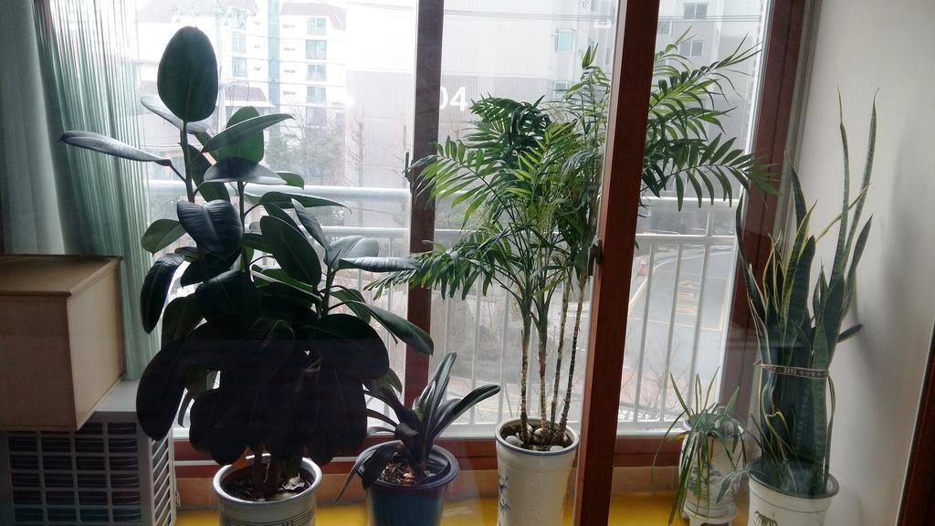 Happy Day Family Apartment *